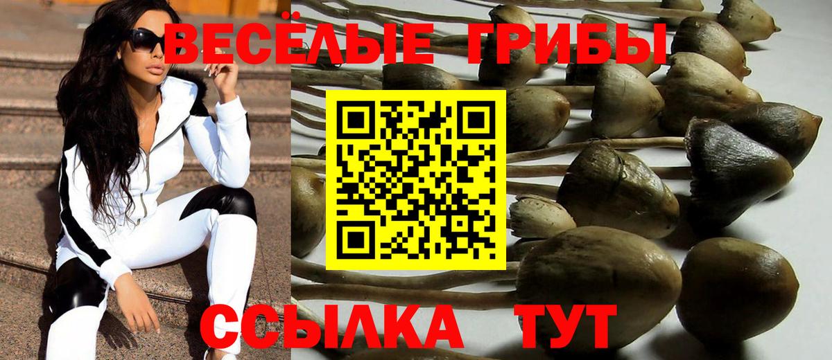 Псилоцибиновые грибы Psilocybine cubensis  Вход с VPN  Коммунар 