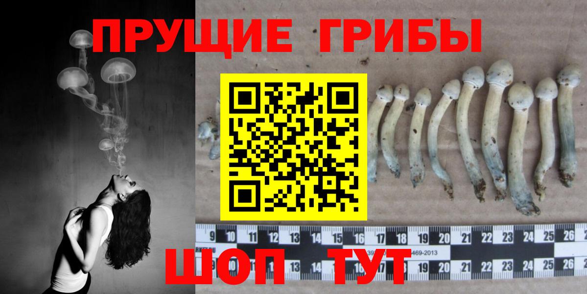 Псилоцибиновые грибы мухоморы Коммунар